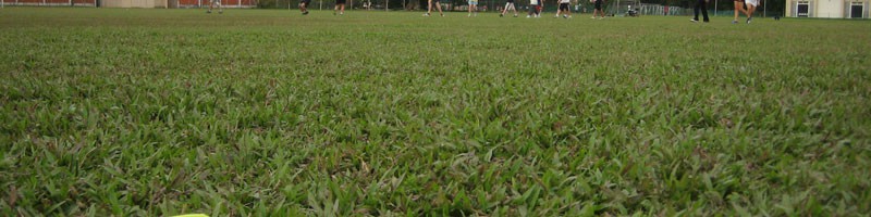 Playing field - nice and big for a good run while playing Ultimate Frisbee in Sabah