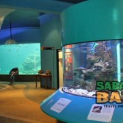Marine Aquarium & Museum at University Malaysia Sabah, Kota Kinabalu