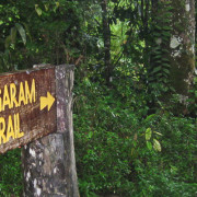Book the Salt Trails Jungle Trekking Experience